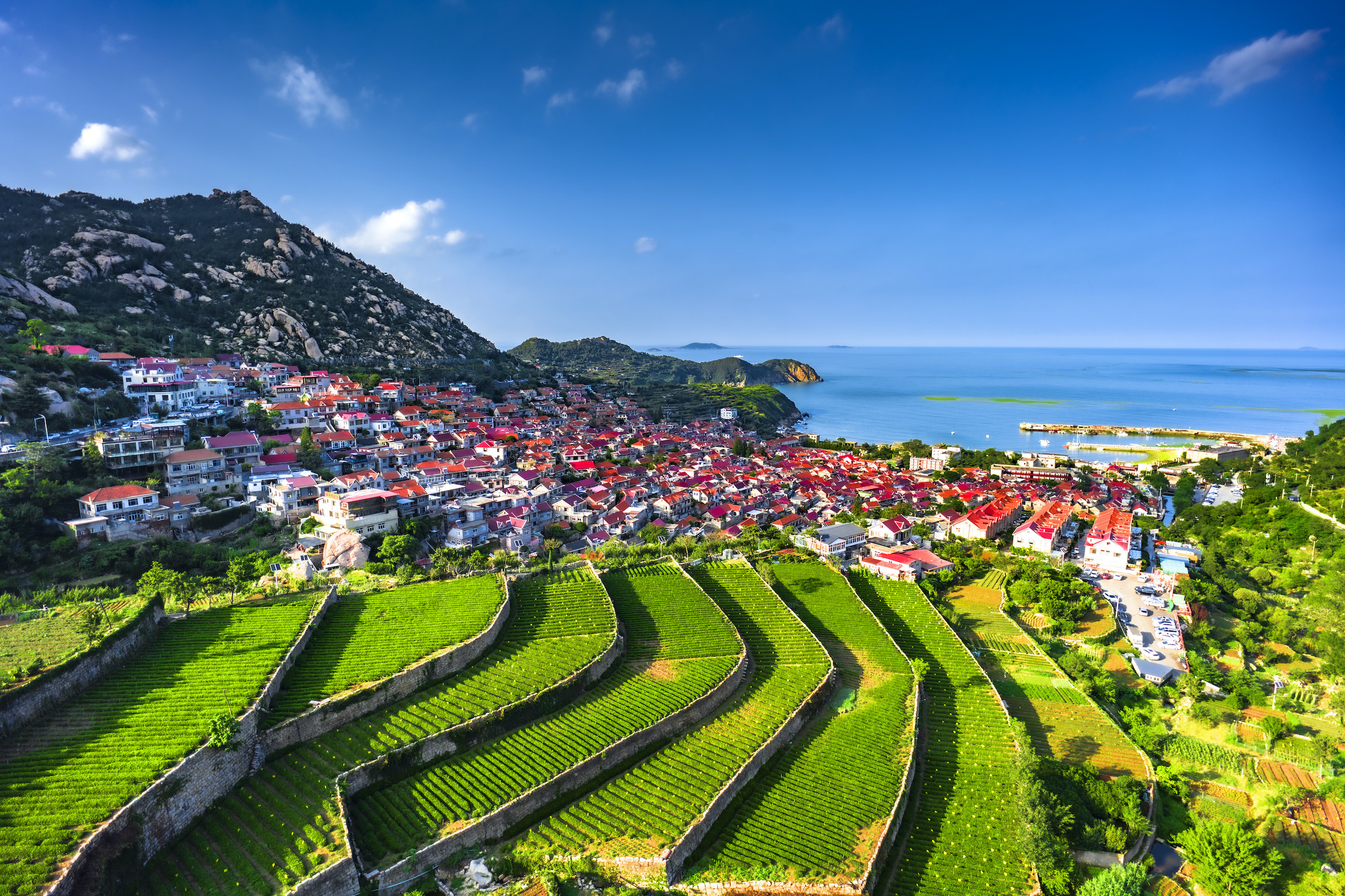 青島上榜入境遊熱門城市 海內外遊客暢遊嶗山