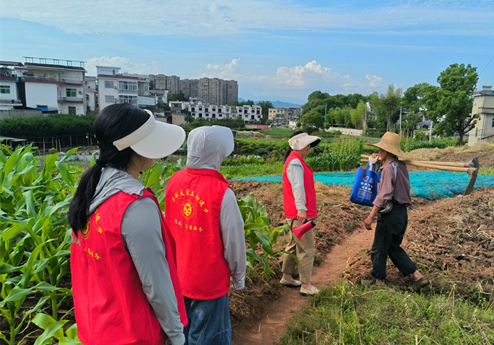 皖徽州區：多點發力築牢秸稈禁燒「防火牆」