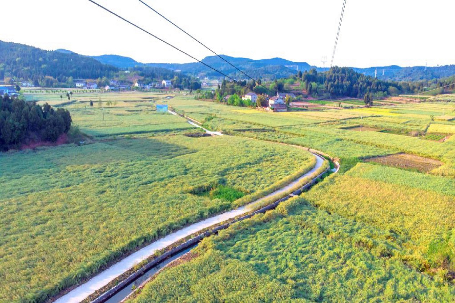 四川綿陽「遊仙菜籽油」入選全國名特優新農產品名錄