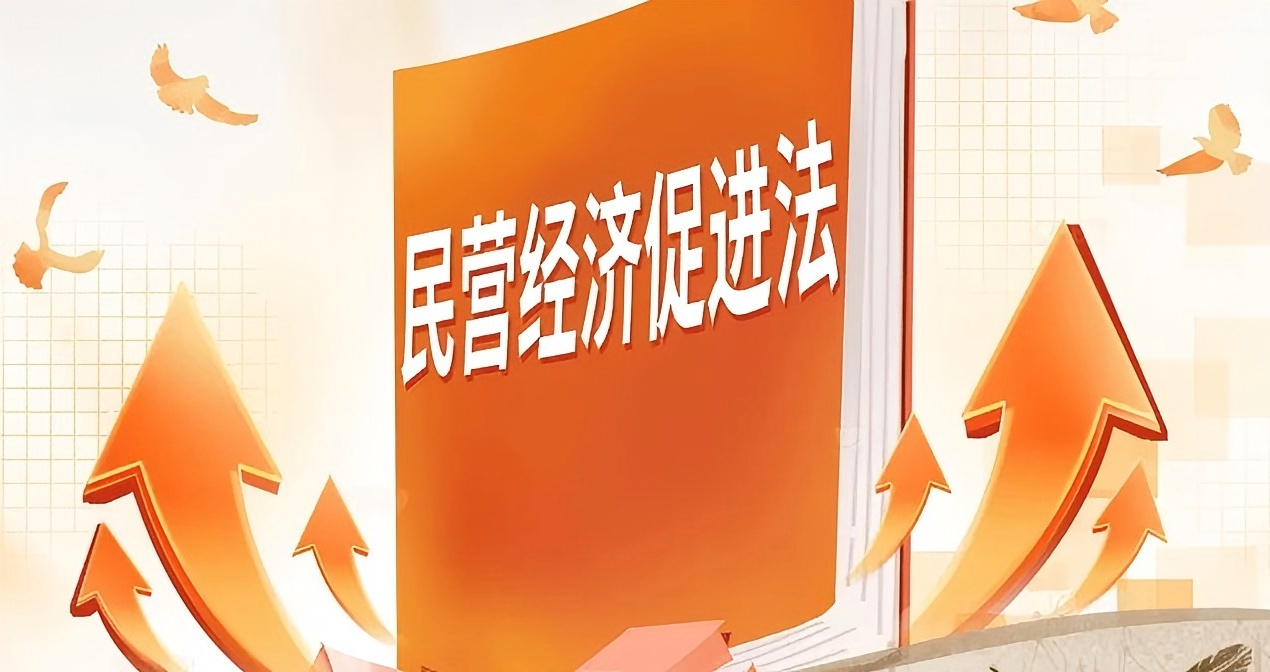 中國民營企業家高質量發展新範式：法治護航與創新突圍的雙螺旋之道—— 以《野蠻生長》管理哲學解構《民營經濟促進法》實踐邏輯