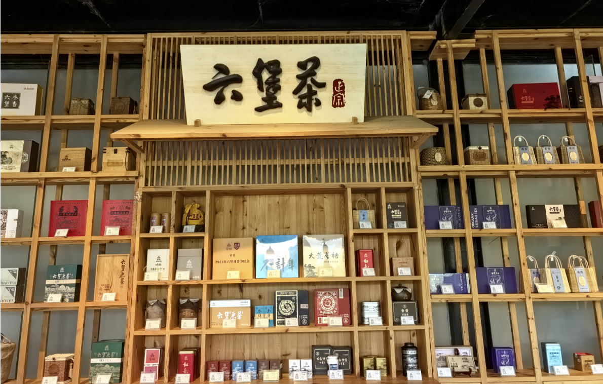 桂蒼梧六堡茶公共品牌產業升級 促茶文旅融合發展
