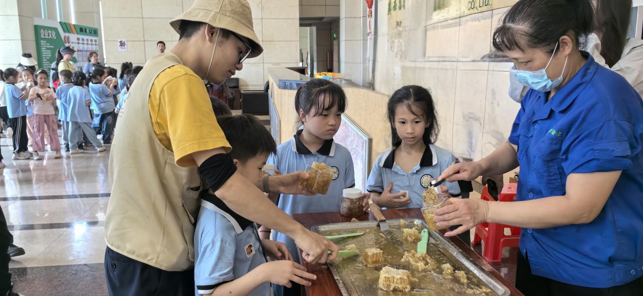 桂字號品牌賦能甜蜜事業  梧州蜂蜜甜蜜出圈