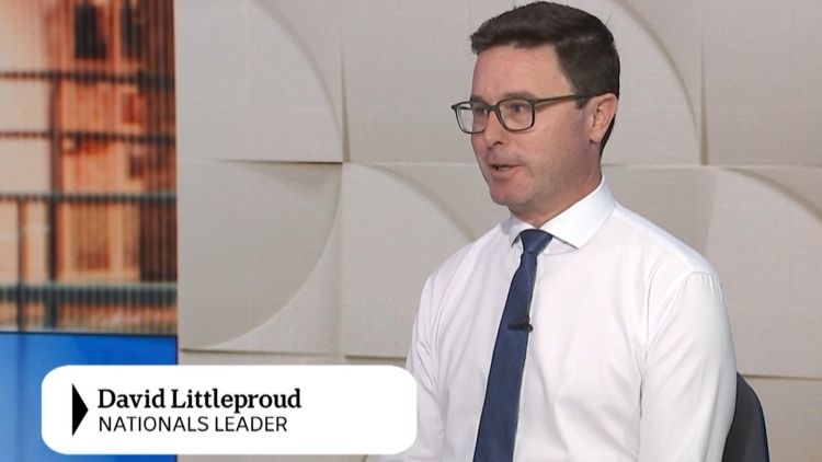 澳大利亞聯盟黨敗選後分裂