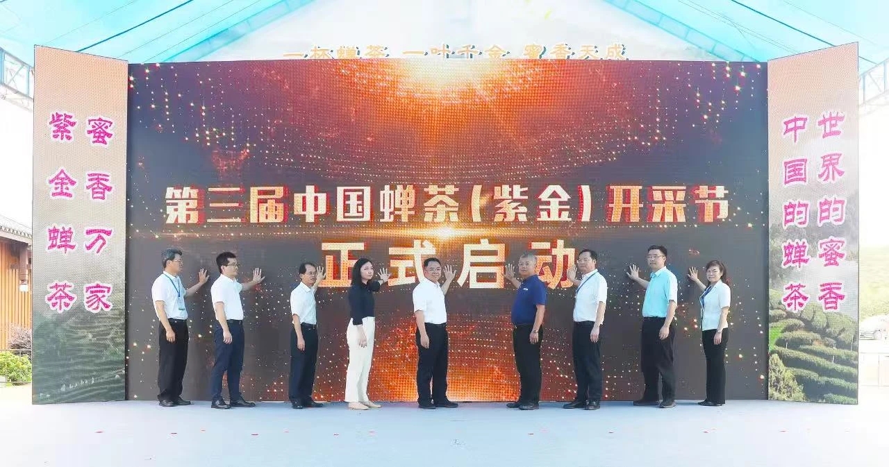 河源紫金舉辦第三屆中國蟬茶（紫金）開採節