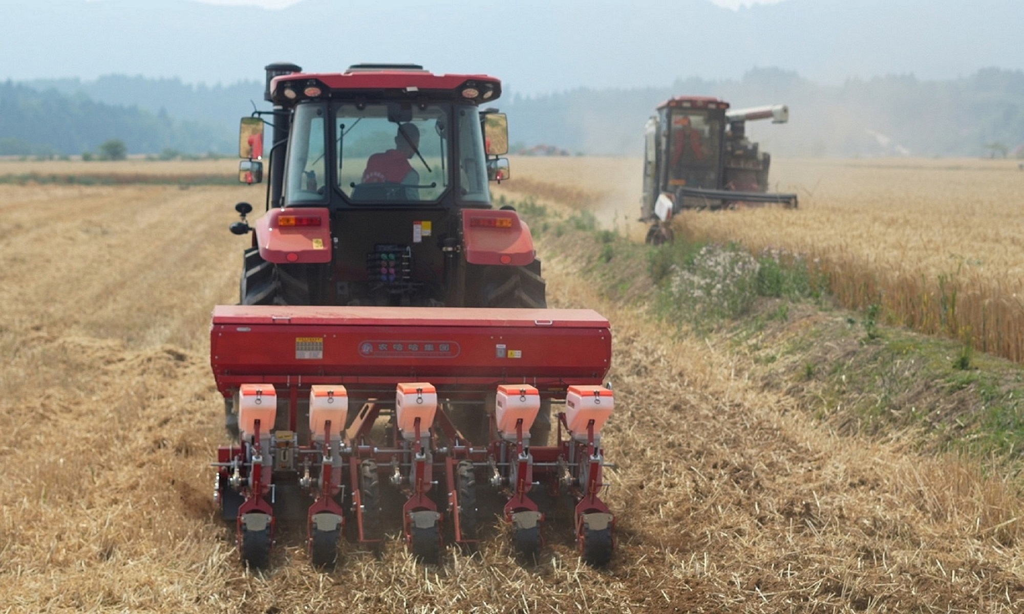 四川梓潼25萬畝小麥增產增效 平均畝產578.2公斤