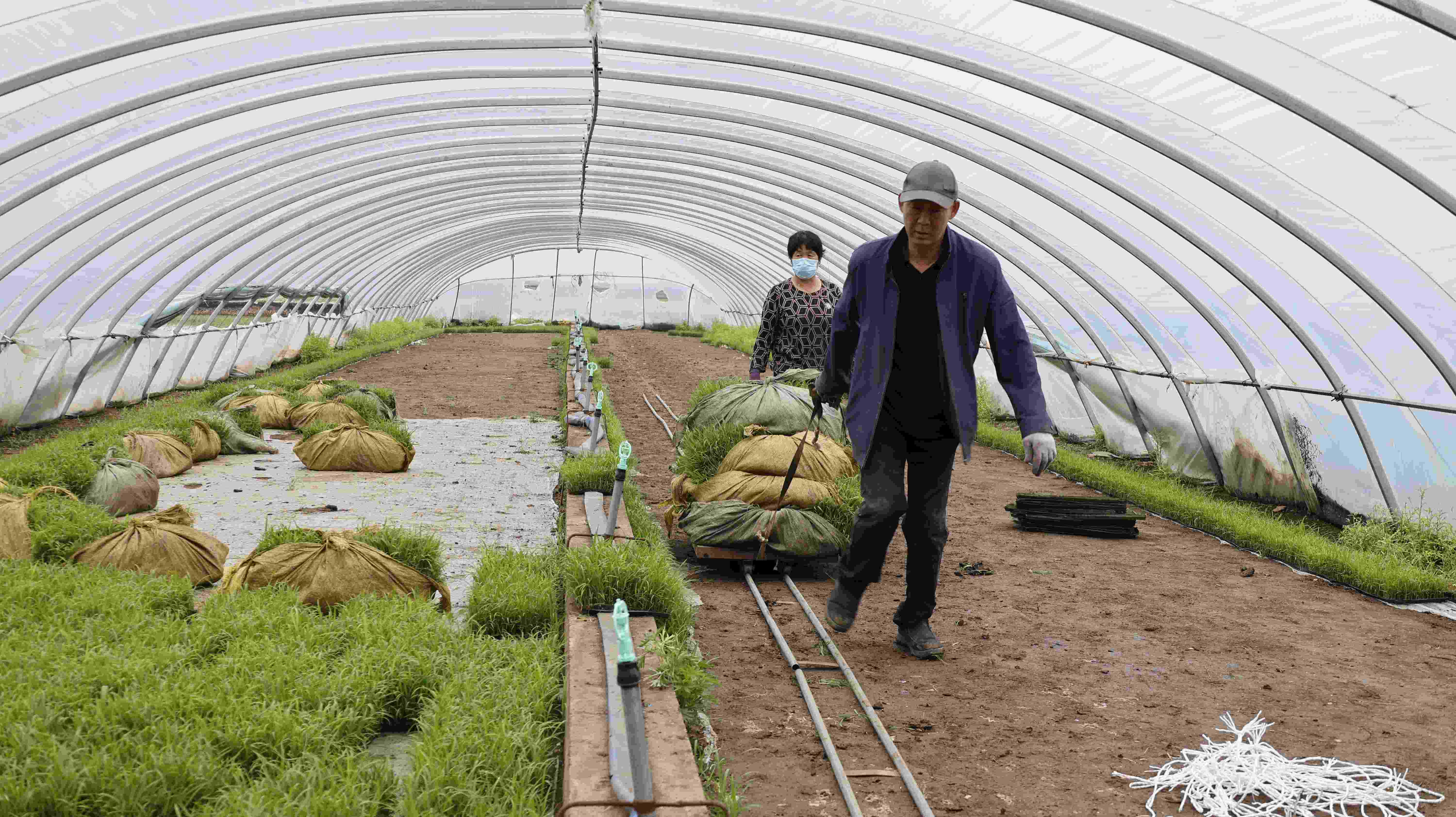 黑龍江甘南縣：科技春耕譜寫豐收序曲