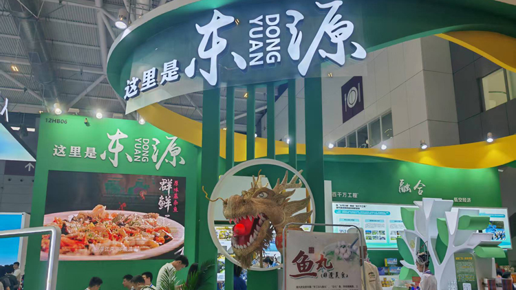 河源東源組團文博會 展示鄉村振興新成果