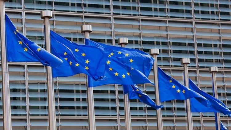 歐盟：歐美通話前不對被加徵50%關稅置評