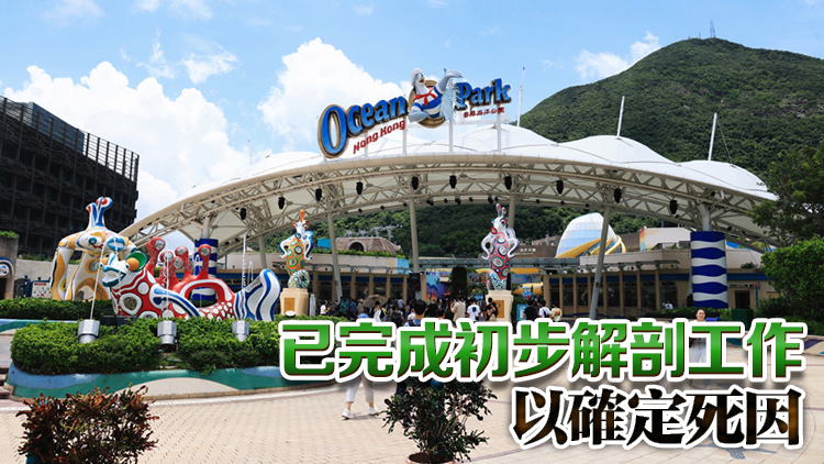 海洋公園印度太平洋樽鼻海豚Rita離世