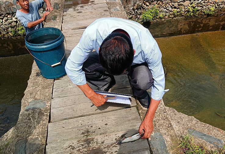 皖祁門縣：示範引領 做大做強軍魚產業