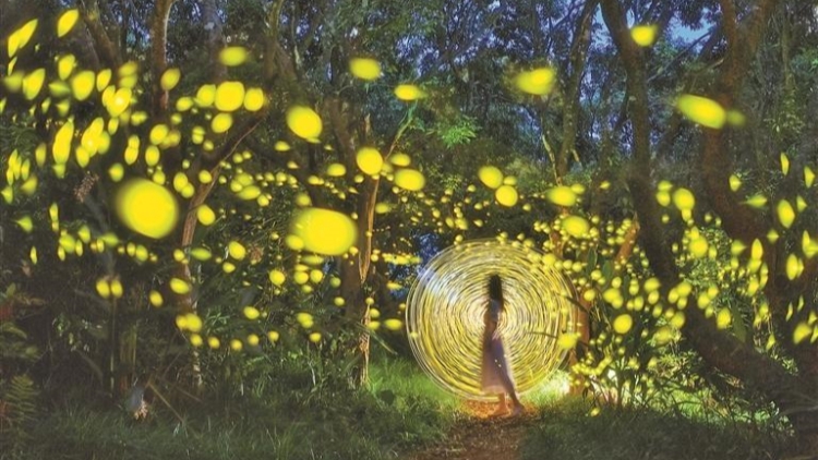 西涌國際暗夜社區邀您共赴光影之約