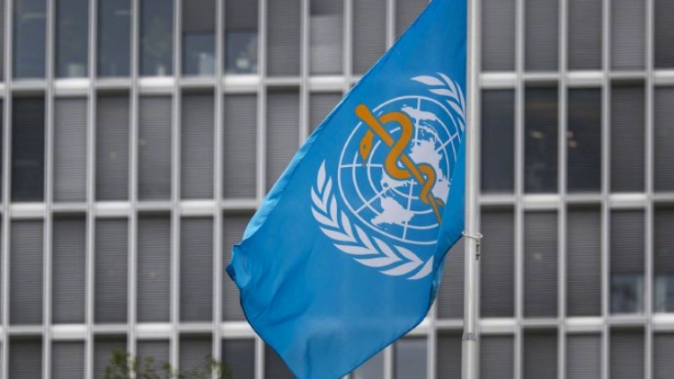 巴勒斯坦在世衛獲懸掛國旗權利