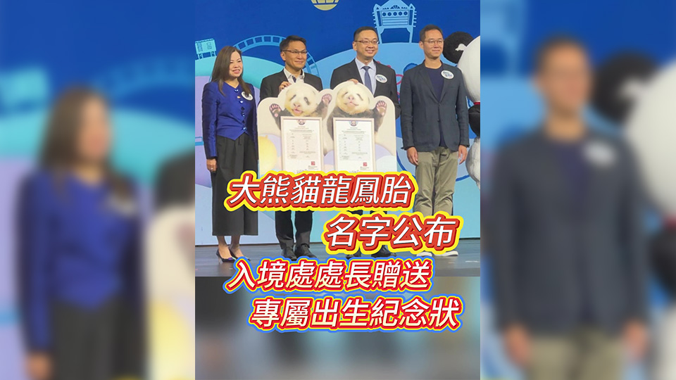 有片丨大熊貓龍鳳胎正式名字公布 入境處處長贈送專屬出生紀念狀