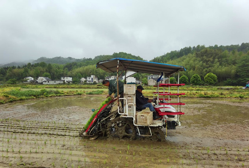 黟縣「兵支書」蔣勇：戎裝換農裝 初心永向陽