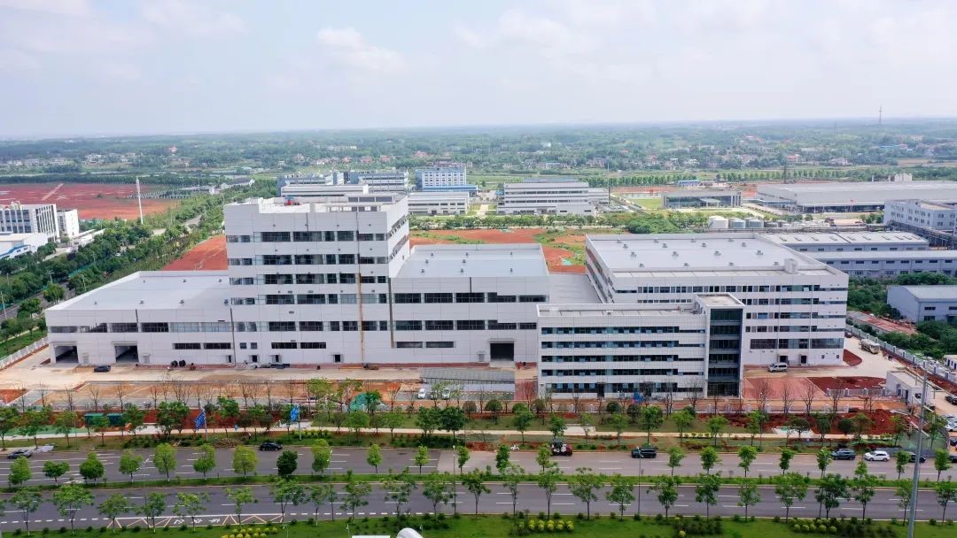 雙肩扛鼎強國志 「雙創」潮頭競先鋒——致敬望城青年科技工作者