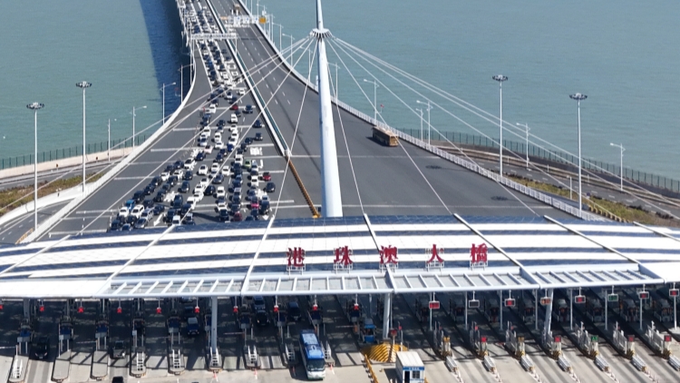 港珠澳大橋口岸外貿呈強勁態勢