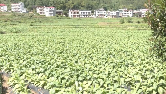 邵陽：沃野如畫唱新歌