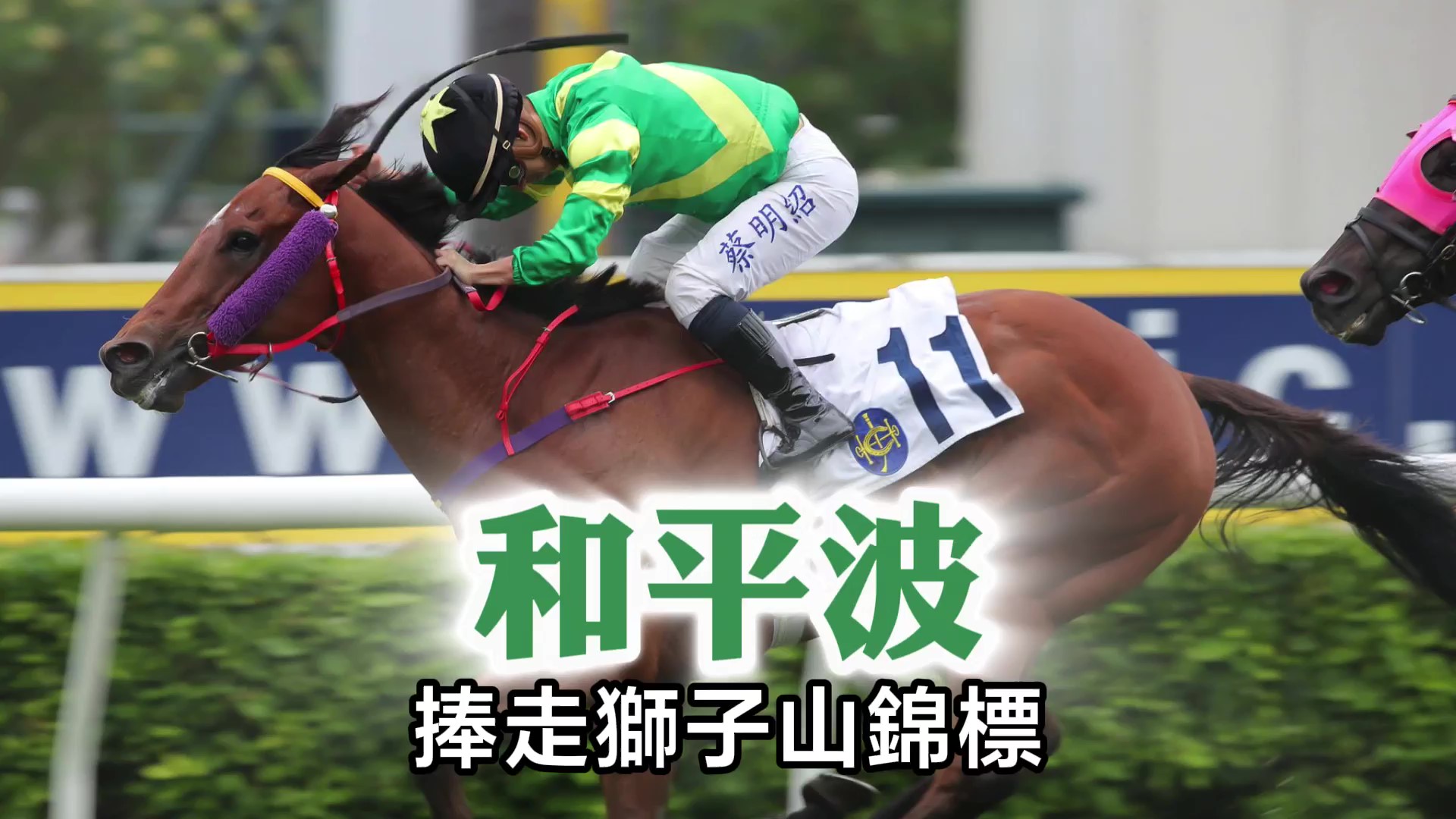 有片｜和平波捧走獅子山錦標 巫偉傑打開分級賽勝門