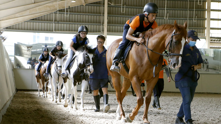 馬會招攬專業人才 邀年輕人成為賽事見習學員