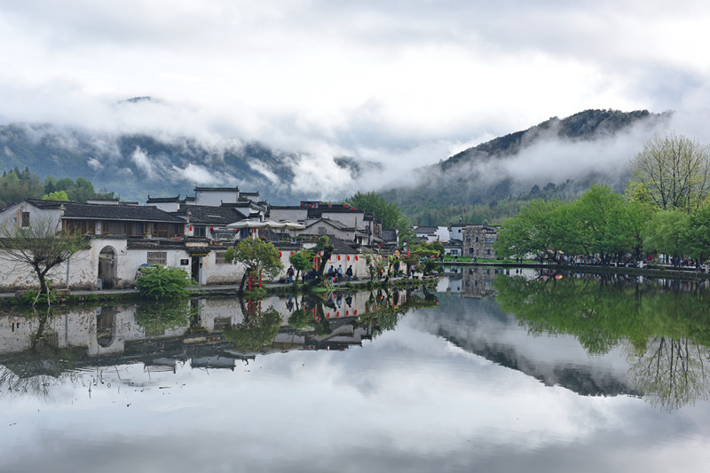 【長舟專欄】煙雨潤宏村
