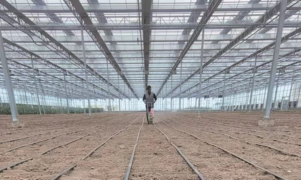 南北接力育種提速！航天種子落地山西晉中