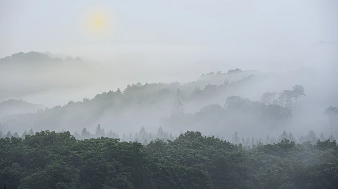 節氣專稿|陳耀輝：芒種