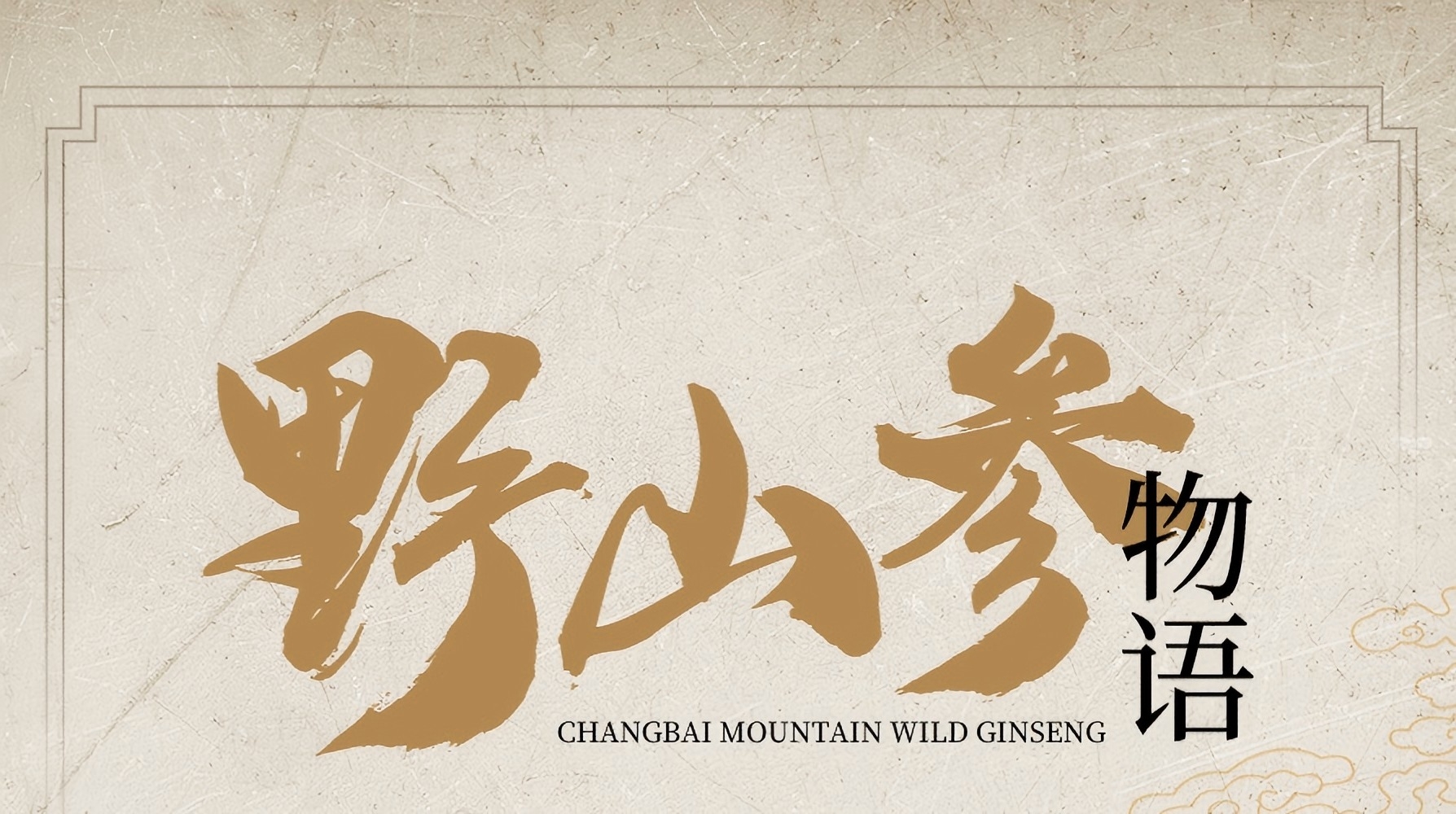 動態長圖｜神秘參幫承載着厚重的人文歷史，換回來沉甸甸的票子