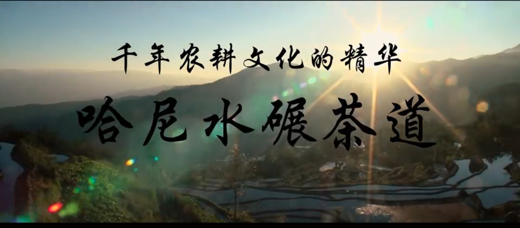 千年瑰寶—哈尼水碾茶