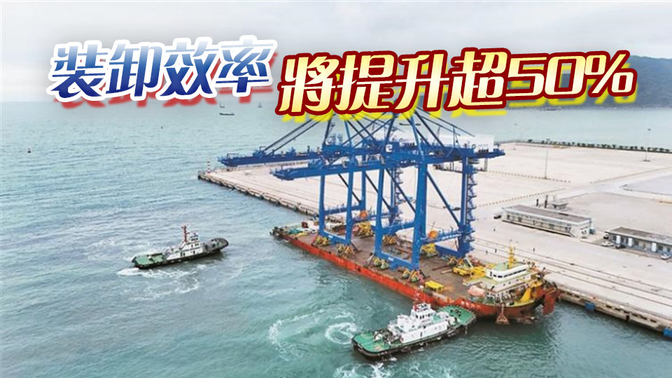 小漠港添「硬核」裝備  首批岸橋設備助力智慧港口建設