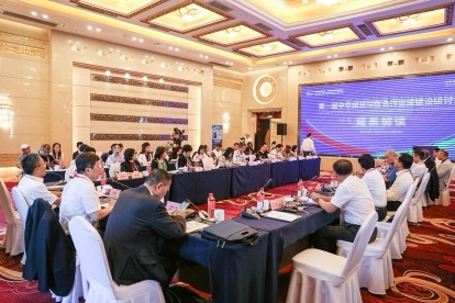 第一屆中非經貿深度合作智庫研討會在長沙舉行 構建國家級平台賦能中非高質量合作
