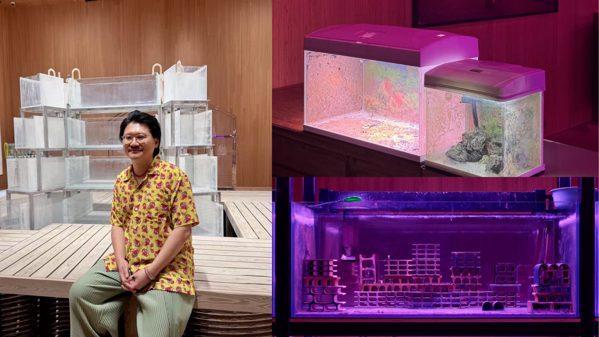 【一周港藝】從威尼斯到香港M+博物館新展楊沛鏗別離庭