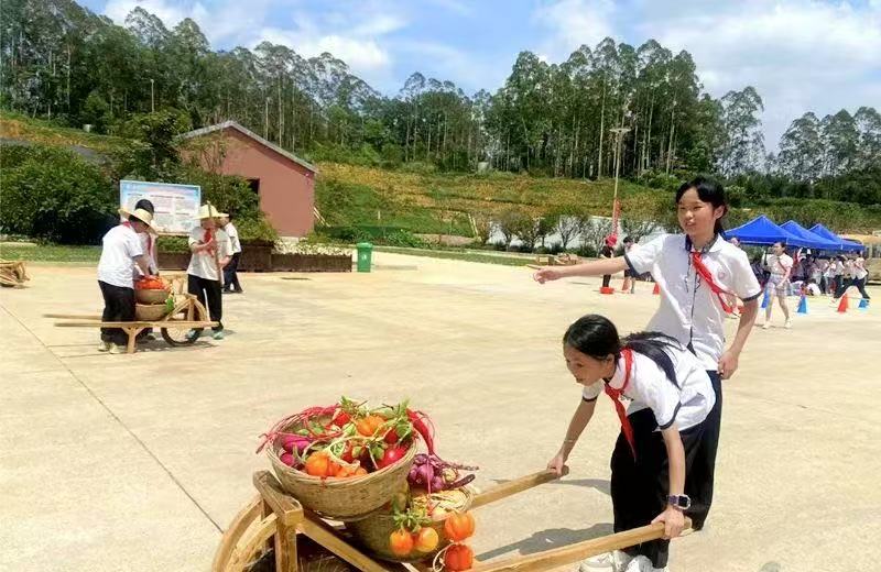 桂梧州鳳翔小學開展農耕生存智慧探索之旅