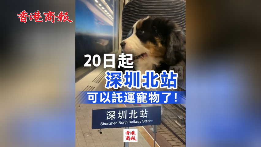 有片丨20日起 深圳北站可以託運寵物了！
