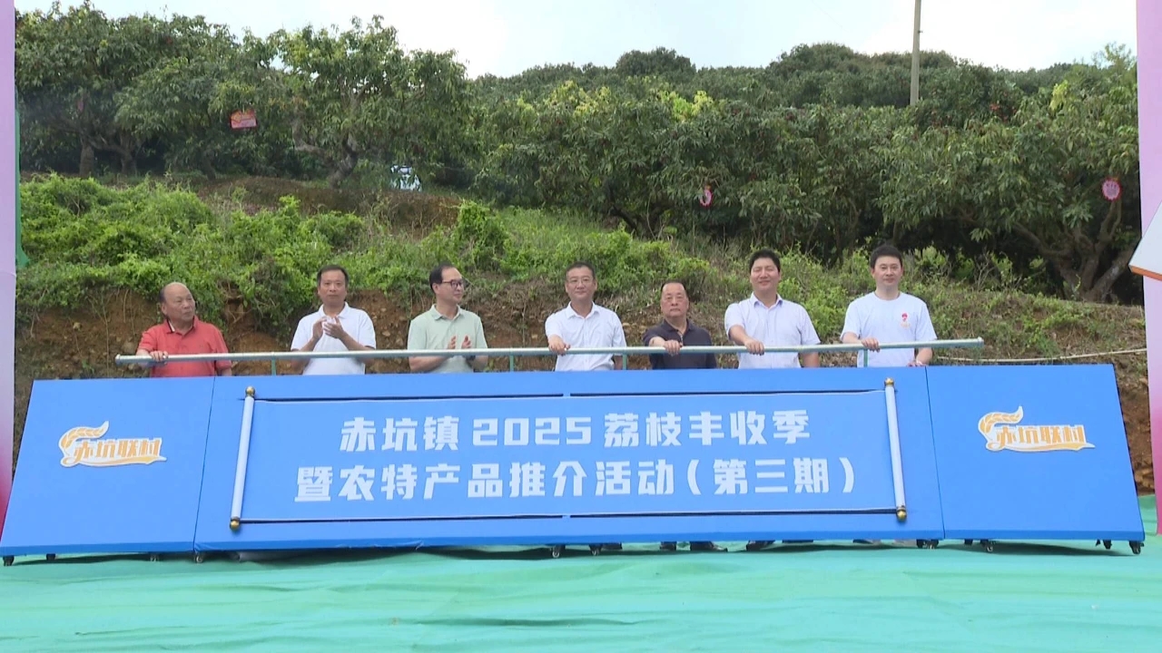 汕尾海豐赤坑鎮舉辦2025荔枝豐收季暨農特產品推介活動