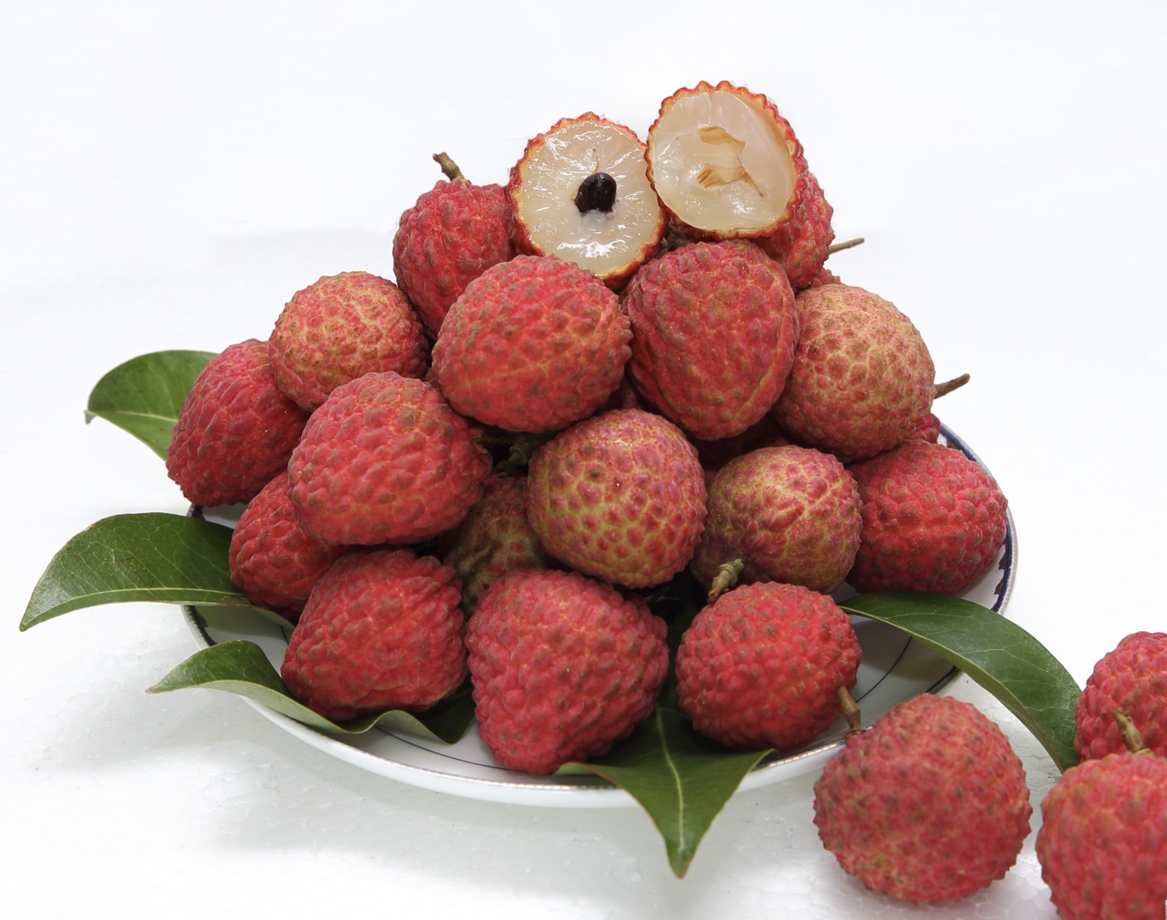 汕尾發布「紅嵄荔」和6條採摘精品旅遊線路 「小荔枝」變「大產業」