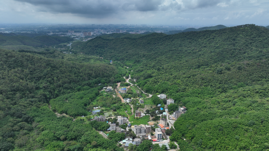有片︱【百千萬一齊港】環湖碧道繪就鄉村振興新畫卷 博羅橫河鎮打造「運動+產業」融合發展標桿