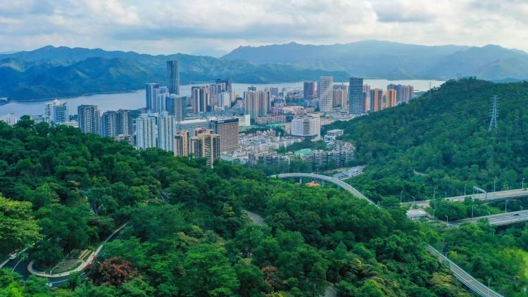 深圳鹽田：做好深港合作大文章 打造「深港合作範例」