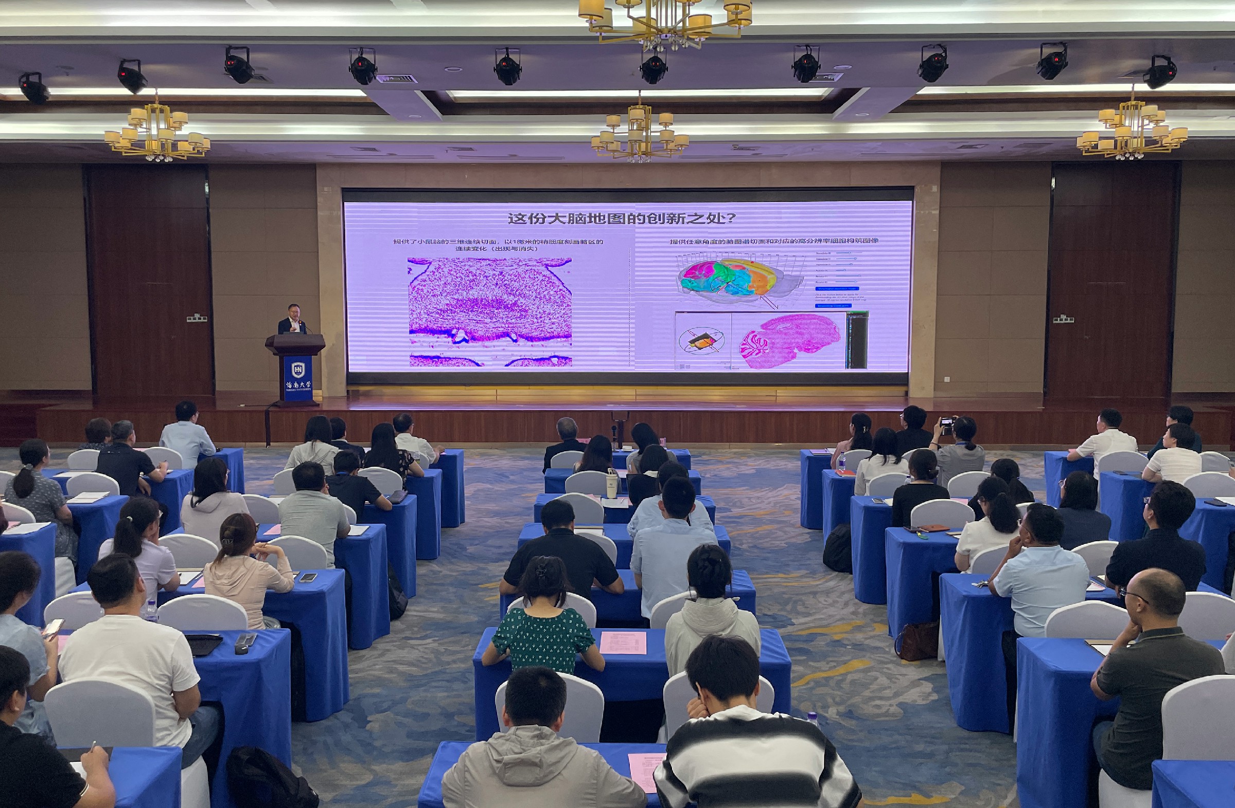 海南大學「腦部樂高圖譜」實現全腦1微米精準定位登上《Nature》