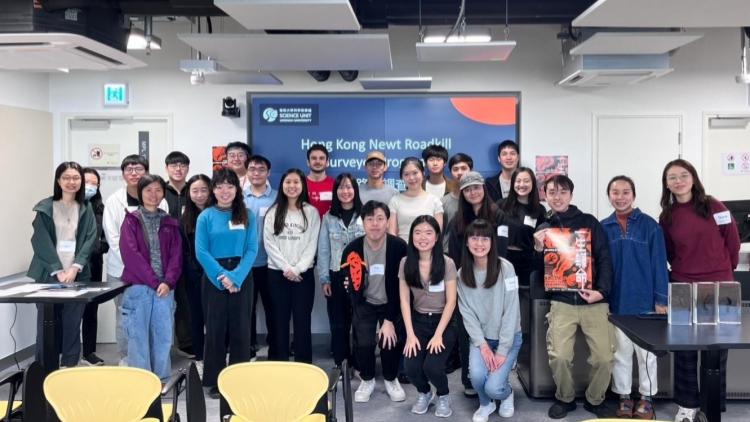 嶺大：2個月內逾千四香港瘰螈被路殺 學者籲社會關注受忽視的近危物種