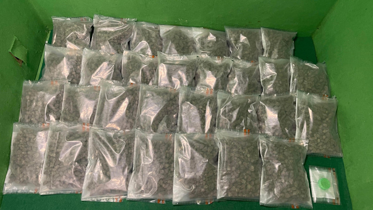 海關機場偵破兩宗入境旅客販毒案 拘2人