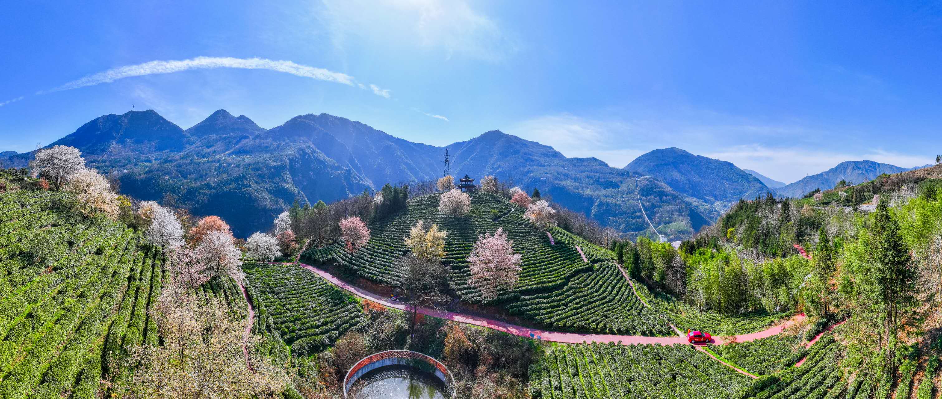 「串珠成鏈」 四川北川特色產業激活發展新動能