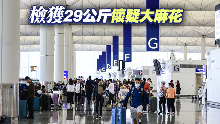 警方機場拘捕23歲男子 檢值580萬元大麻花