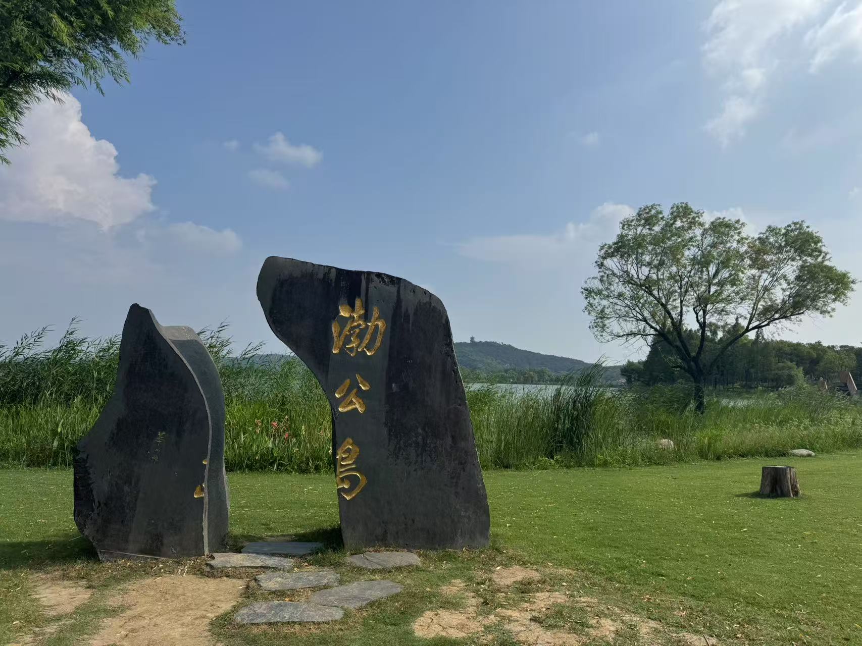 【灣區媒體無錫行】碧波映城、藝術賦能 無錫生態文旅展新貌