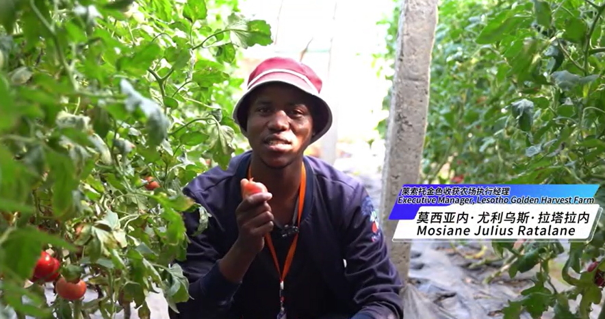 【視聽山東】27名外國友人探訪「泰山七仙女」的成長秘訣