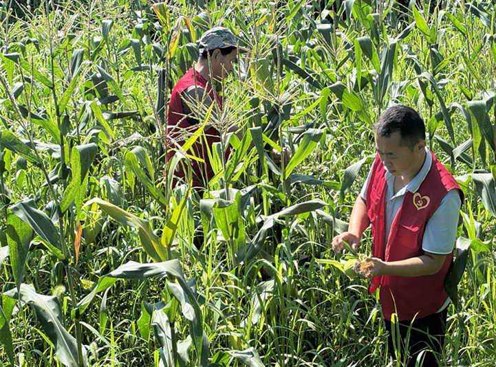 皖黟縣宏潭：激活「紅色動能」  賦能現代農業
