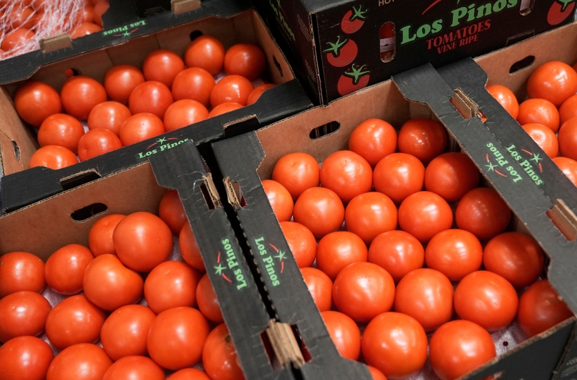 美國宣布對墨西哥番茄徵收17.09%關稅 同時退出反傾銷協議