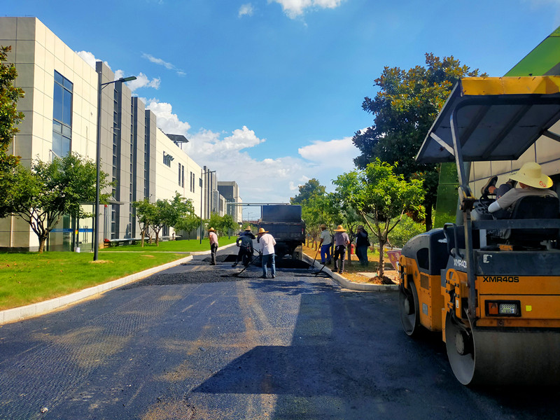 皖休寧縣：「舊巢」引「新鳳」  閒地變熱土