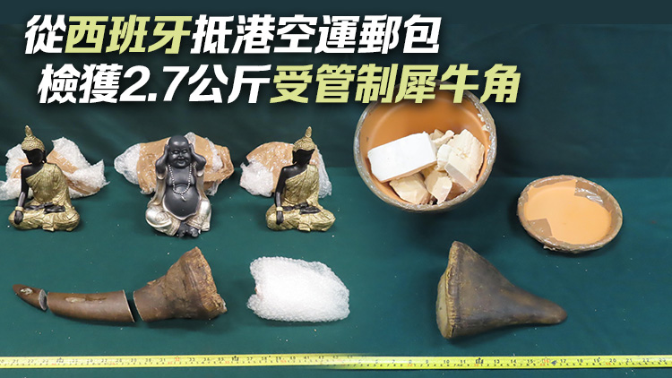 海關機場檢值100萬元受管制犀牛角 拘捕2名男子