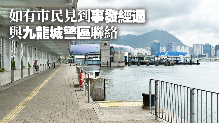 追蹤報道｜推9歲男童落海 警方調查疑犯犯案動機及精神狀態等