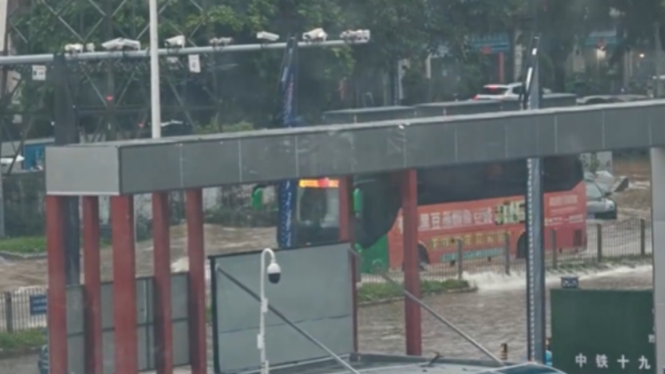 「韋帕」造成深圳800多輛車受損 未出現人員傷亡事故